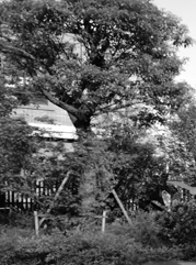 来安注册公司